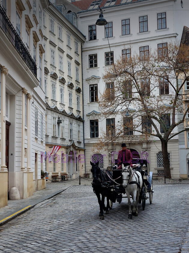 20241129 140834x 
 Horse and Carriage in Vienna.