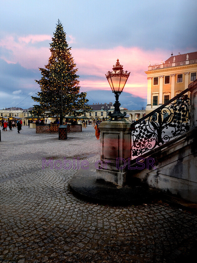 20241128 143831x 
 Keywords: Schönbrunn Palace, Vienna, Christmas tree