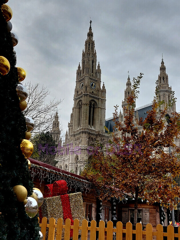 20241127 123308x 
 Rathausplatz at Christmas. Vienna 
 Keywords: christmas tree, Vienna