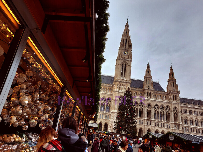 20241127 121914x 
 Rathausplatz. Vienna 
 Keywords: Christmas, Christkindlmärkte