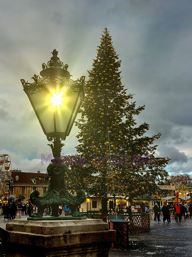 20241128 143526x 
 Schönbrunn Palace Christmas tree. Vienna 
 Keywords: Schönbrunn Palace, Vienna, Christmas tree