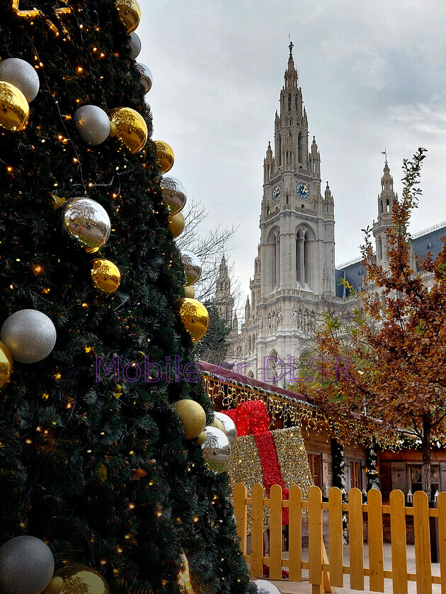 20241127 150530x 
 Rathauspark. Vienna. Austria 
 Keywords: Christmas